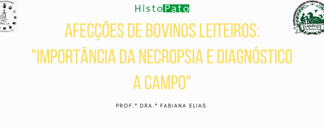 Afecções de Bovinos Leiteiros: "Importância da Necropsia e Diagnóstico a Campo"