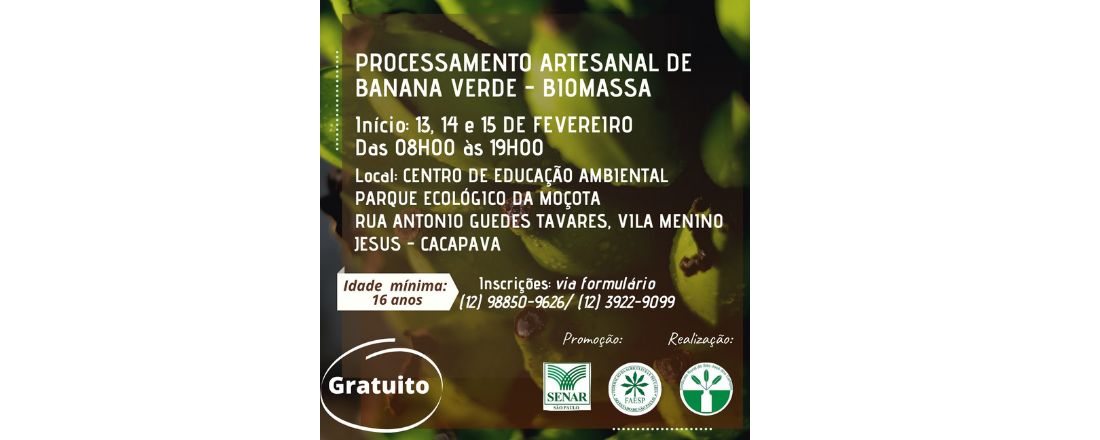 PROCESSAMENTO CASEIRO DE BANANA VERDE - BIOMASSA