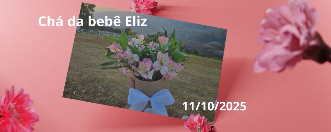 Chá da Bebê Eliz