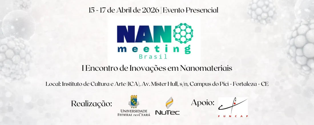 I Nano Meeting Brasil