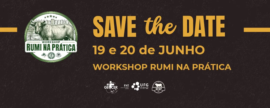 Workshop - Rumi na Prática