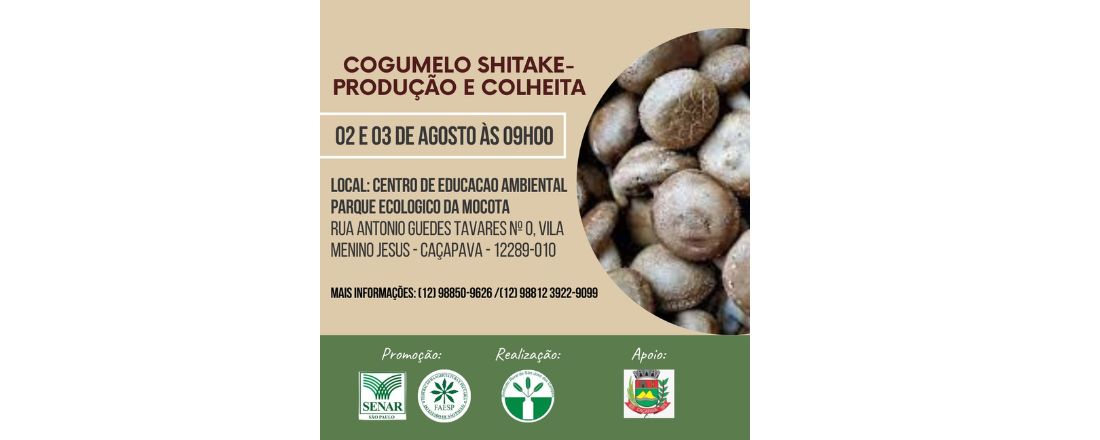 COGUMELO SHIITAKE – PRODUÇÃO E COLHEITA