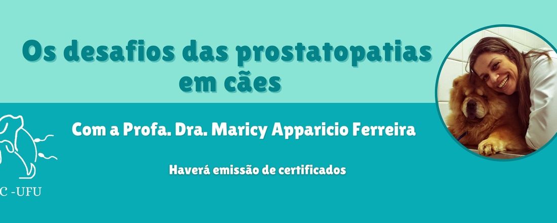 Os desafios das prostatopatias em cães