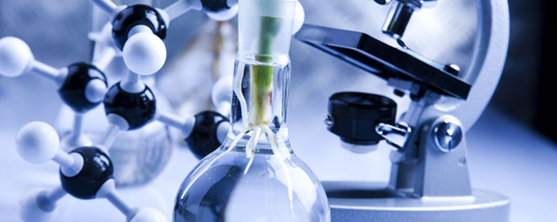 Bioprocessos: do shaker ao biorreator