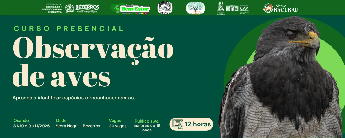 Curso de Observação de Aves: Serra Negra - Bezerros
