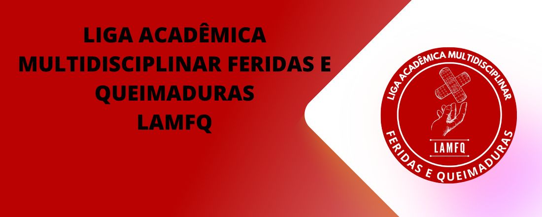 2º Curso Introdutório da Liga de Feridas e Queimaduras