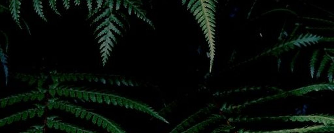 I ENCONTRO VIRTUAL DO EDUAMA: "Emergências Ambientais na Amazônia no contexto pandêmico"