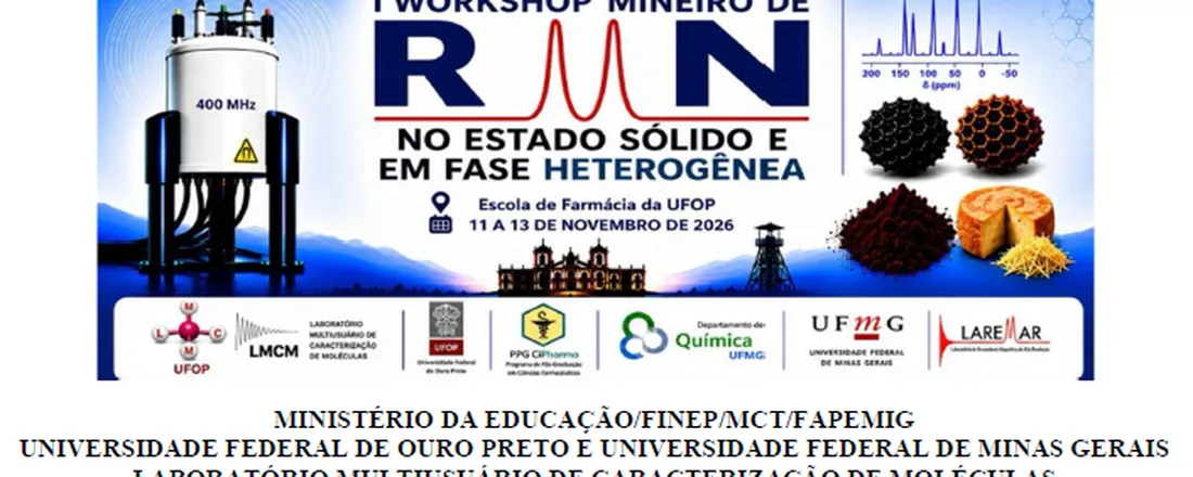 I Workshop Mineiro de RMN no Estado Sólido e em Fase Heterogênea