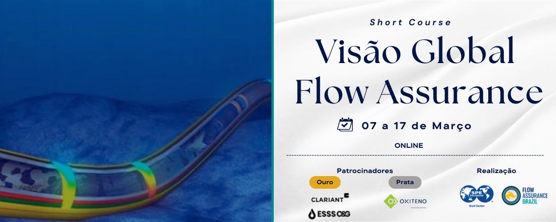 Short Course: Visão Global de Flow Assurance
