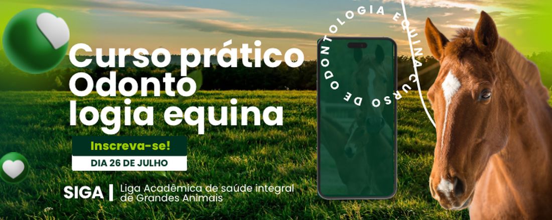 Curso Prático: Odontologia Equina