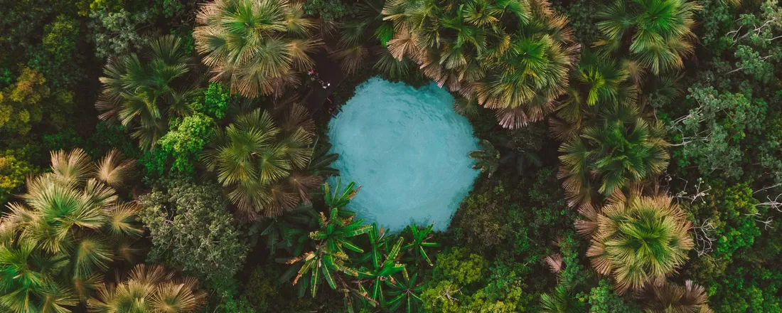 III JACIM - Jornada Acadêmica de Apreciação e Capacitação Integrada em Medicina