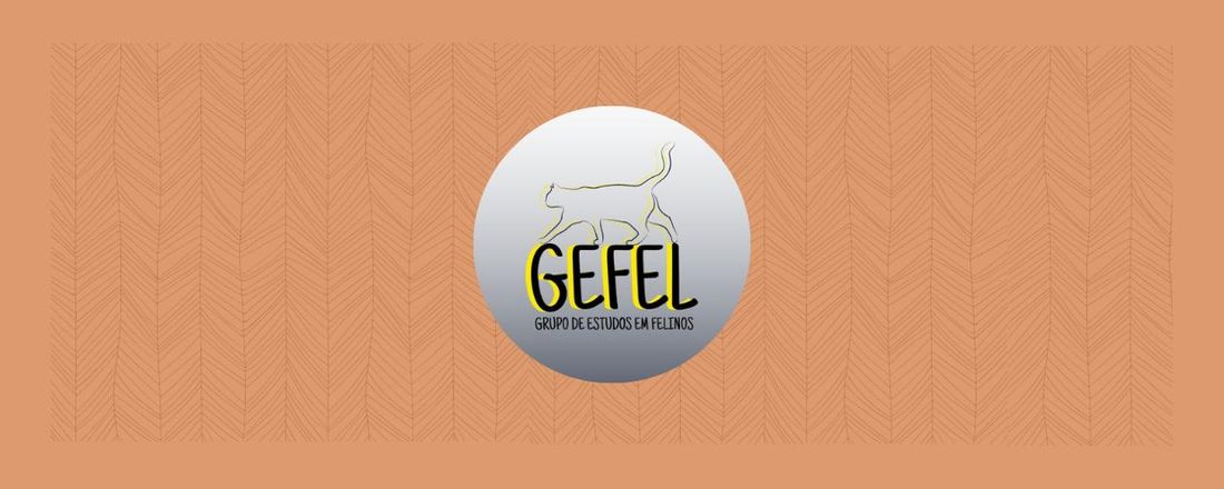 Simplificando a comunicação vocal e postural do gato