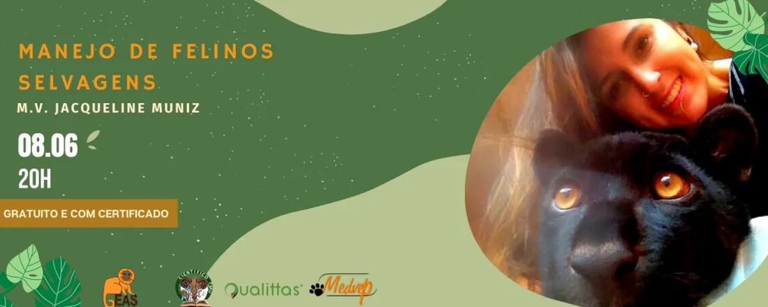 Manejo de Felinos Selvagens