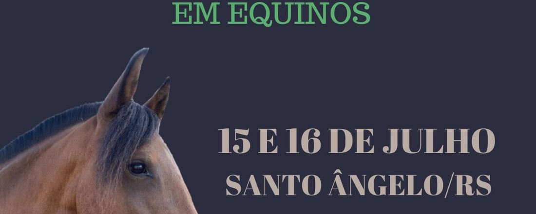 Curso de Manejo e Primeiros Socorros em Equinos II