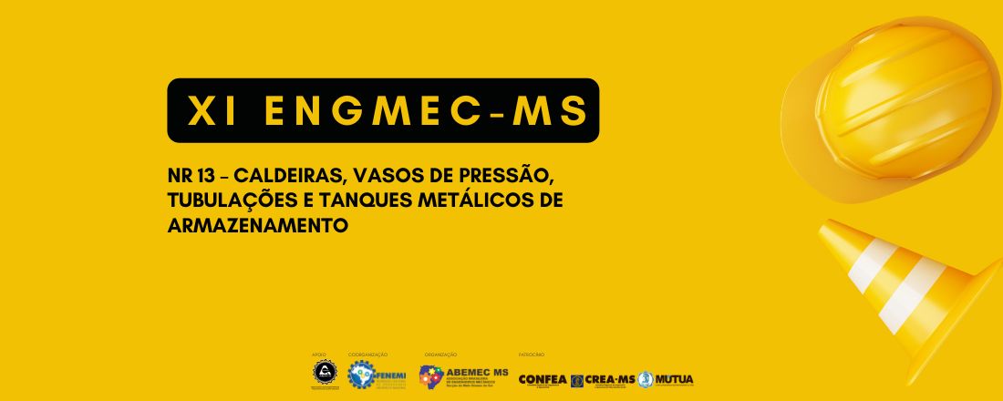 XI ENGMEC-MS