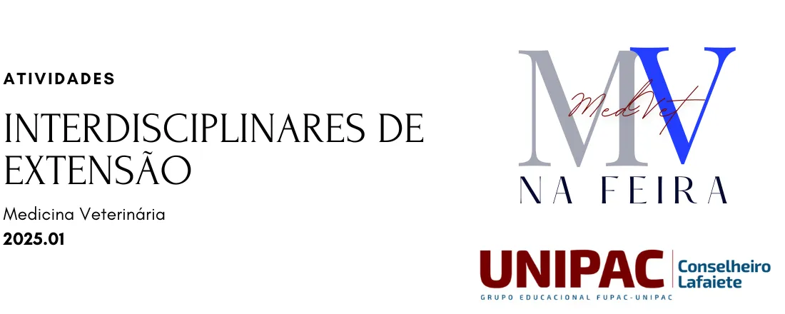 ATIVIDADE INTERDISCIPLINAR DE EXTENSÃO 2025. 1