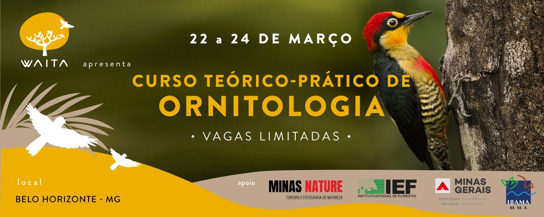 Curso teórico-prático de Ornitologia