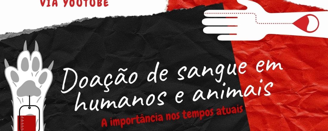 Doação de sangue em humanos e animais e sua  importância nos tempos atuais