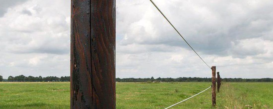 CURSO: Montagem e manutenção de cerca elétrica rural