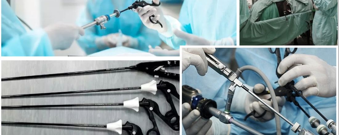Videocirurgia Aplicada à Reprodução de Grandes Animais: Rotina e Perspectivas Futuras