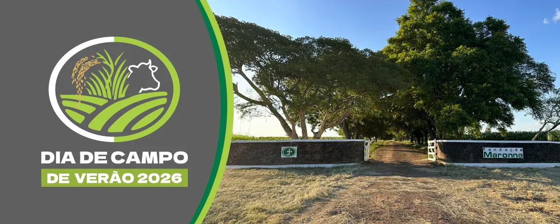 DIA DE CAMPO DE VERÃO 2026