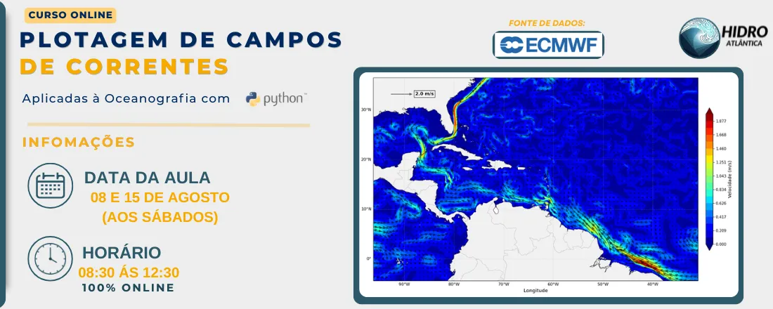 Curso de Plotagem de Campos de Correntes