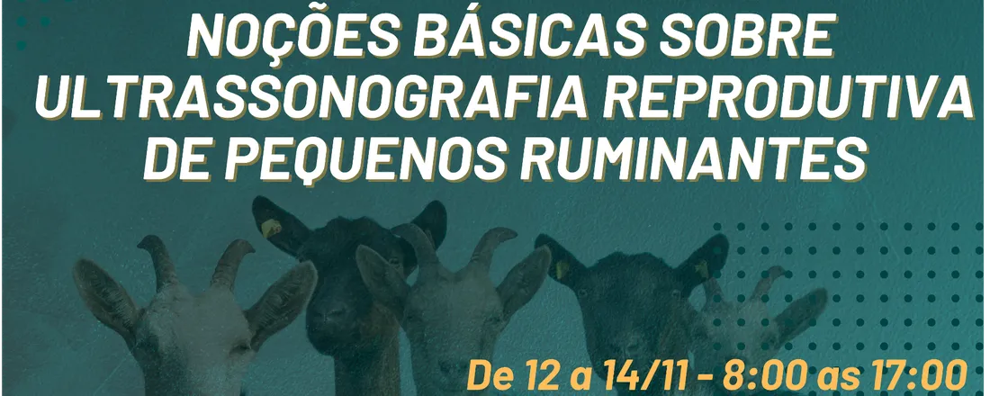 Noções Básicas sobre Ultrassonografia Reprodutiva de Pequenos Ruminantes