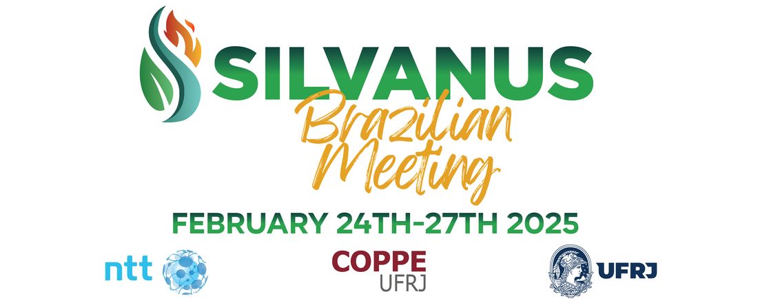 SILVANUS Project Brazilian Meeting