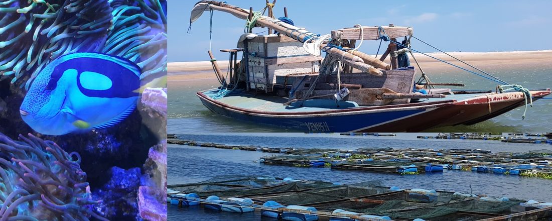 VII Seminário de Engenharia de Pesca da UFRB