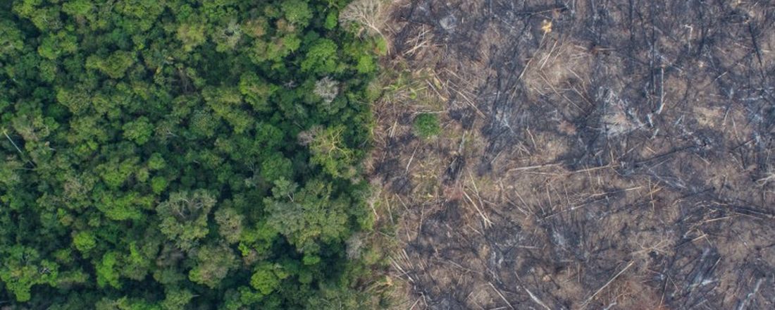 Seminário de Defesa Etnoambiental
