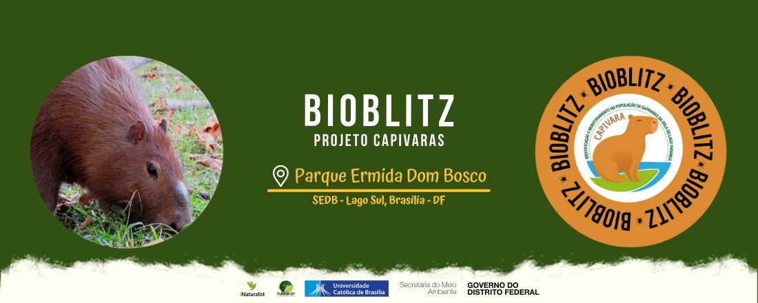 I Bio Blitz - Projeto Capivaras