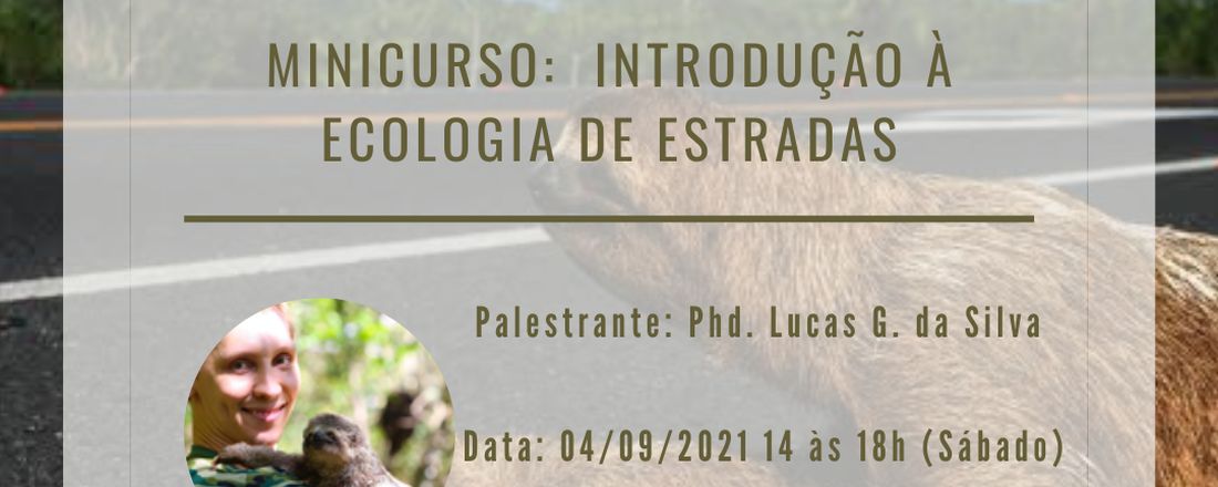 Minicurso - Introdução à Ecologia de Estradas