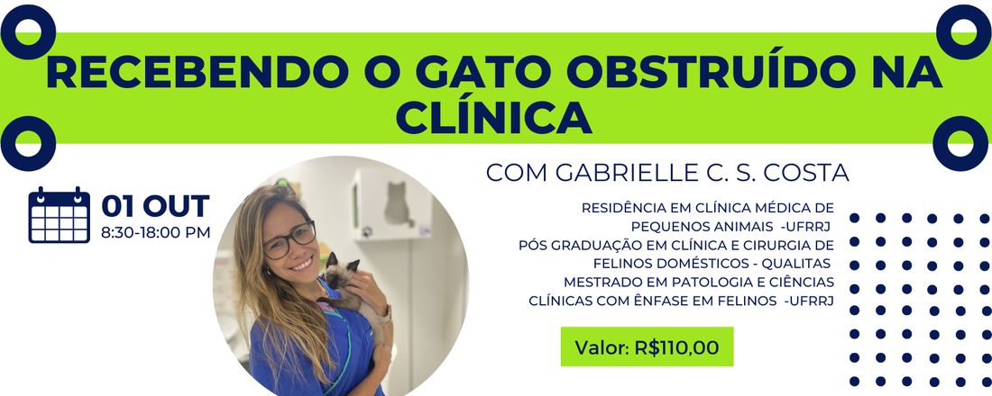 Recebendo o gato obstruído na clínica