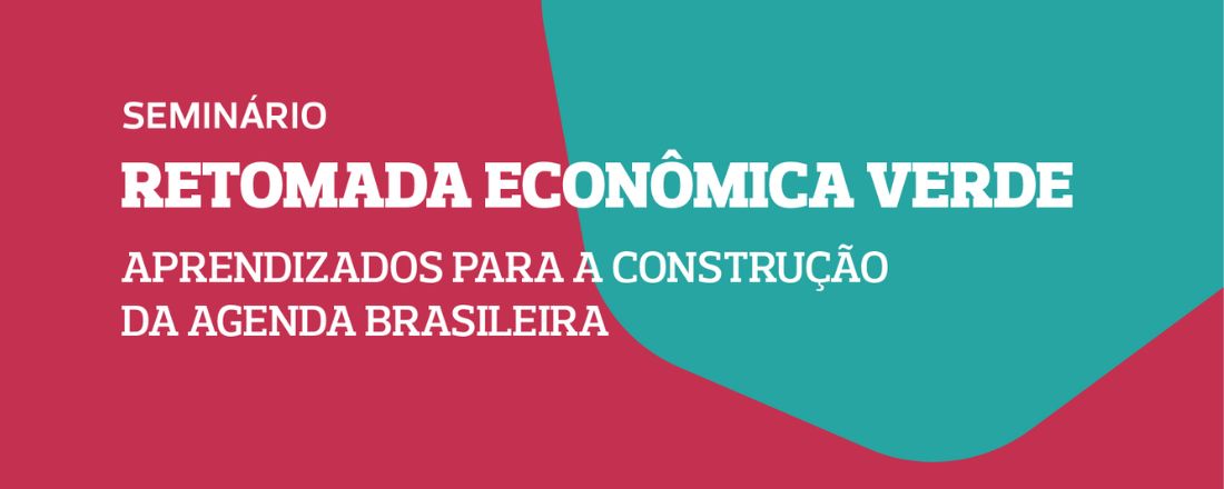 Seminário Retomada Econômica Verde no Insper