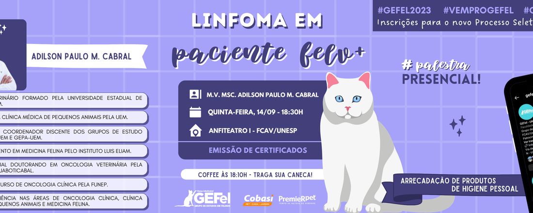 Linfoma em Paciente FELV+