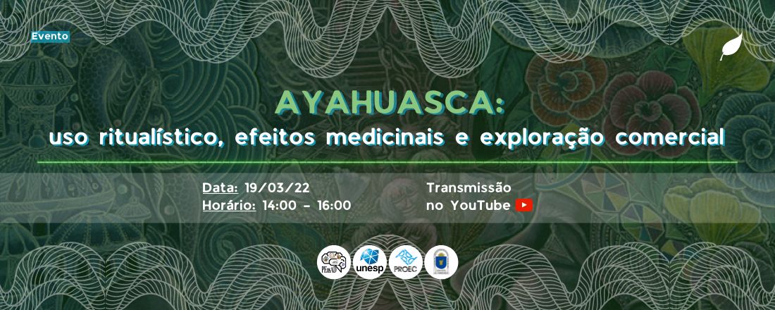 Ayahuasca: uso ritualístico, efeitos medicinais e exploração comercial