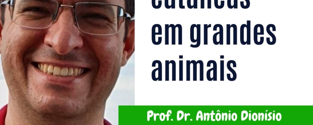 Neoplasias cutâneas em grandes animais