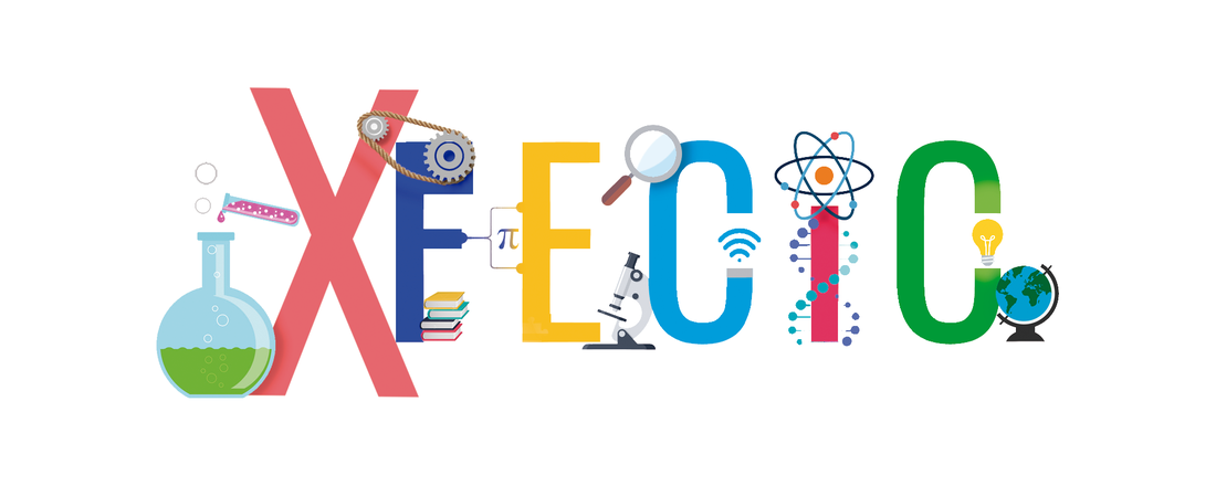 X FECIC