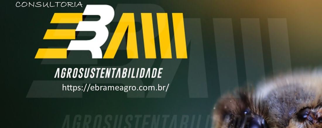 APICULTURA PASSO A PASSO
