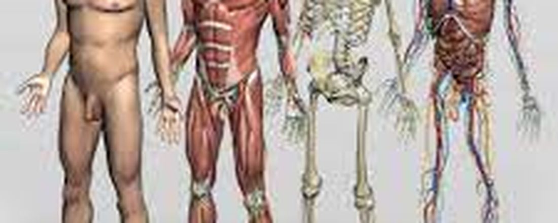 CURSOS DE APRIMORAMENTO ANATOMIA E FISIOLOGIA HUMANA