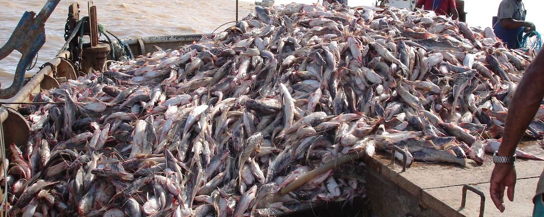 Palestra "Experiência embarcada na Engenharia de Pesca"