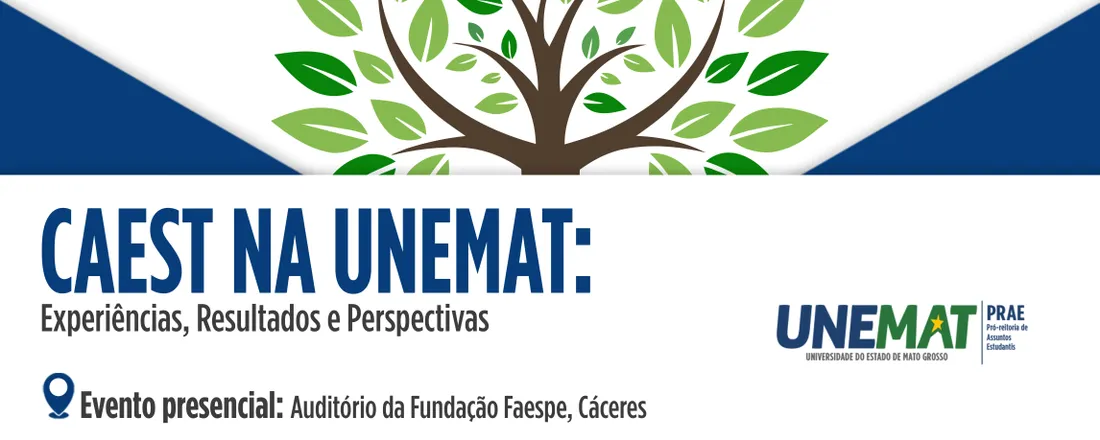 CAEST na UNEMAT: Experiências, Resultados e Perspectivas