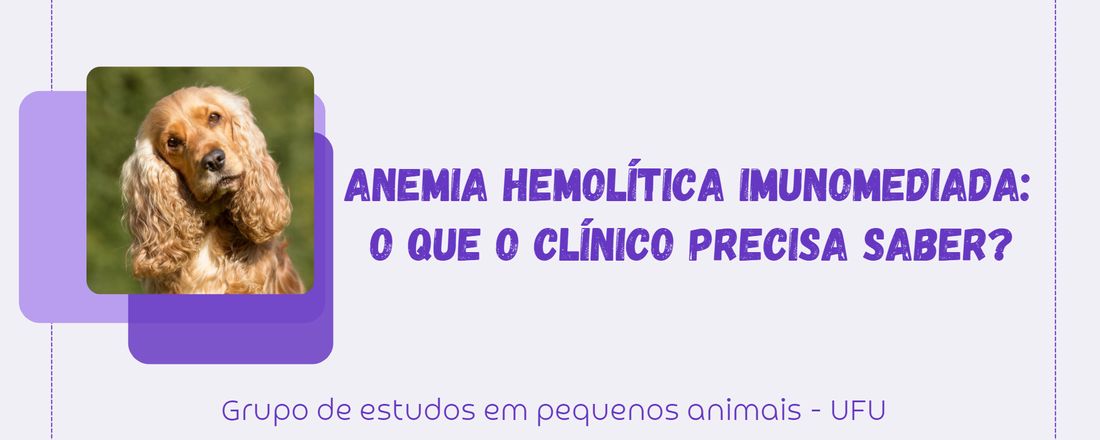 Palestra - Anemia hemolítica imunomediada: o que o clínico precisa saber.