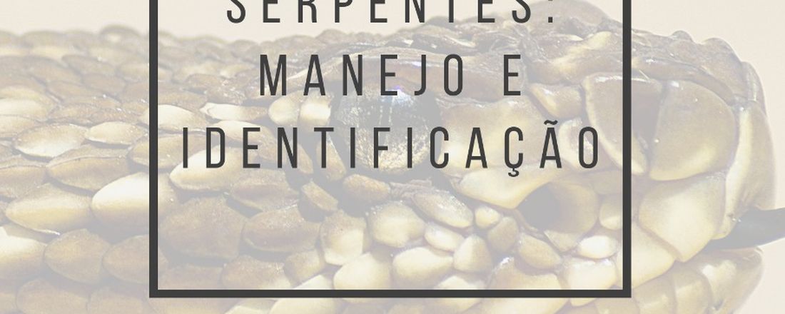 Minicurso - Serpentes: Manejo e Identificação