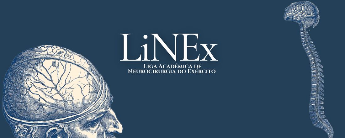 Aula inaugural - Neurocirurgia robótica