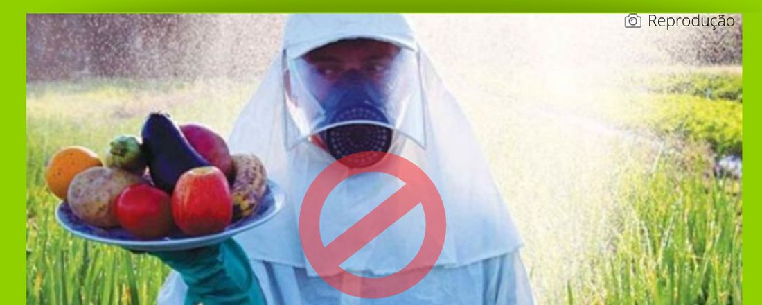 Curso Agroecologia: Desafios