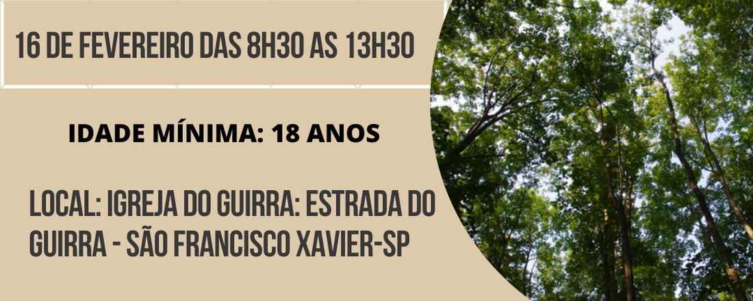 FLORESTAMENTO – SENSIBILIZAÇÃO