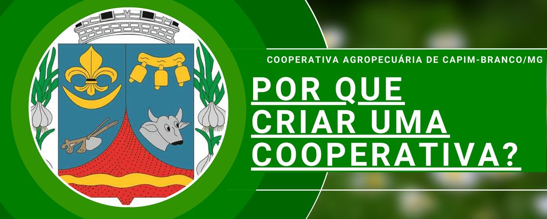 CURSO DE INTRODUÇÃO AO COOPERATIVISMO