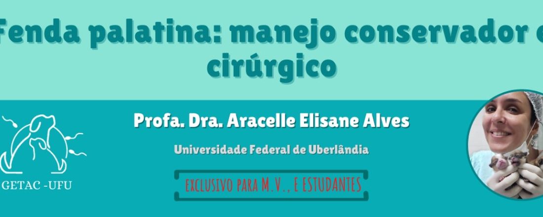 Fenda palatina: manejo conservador e cirúrgico