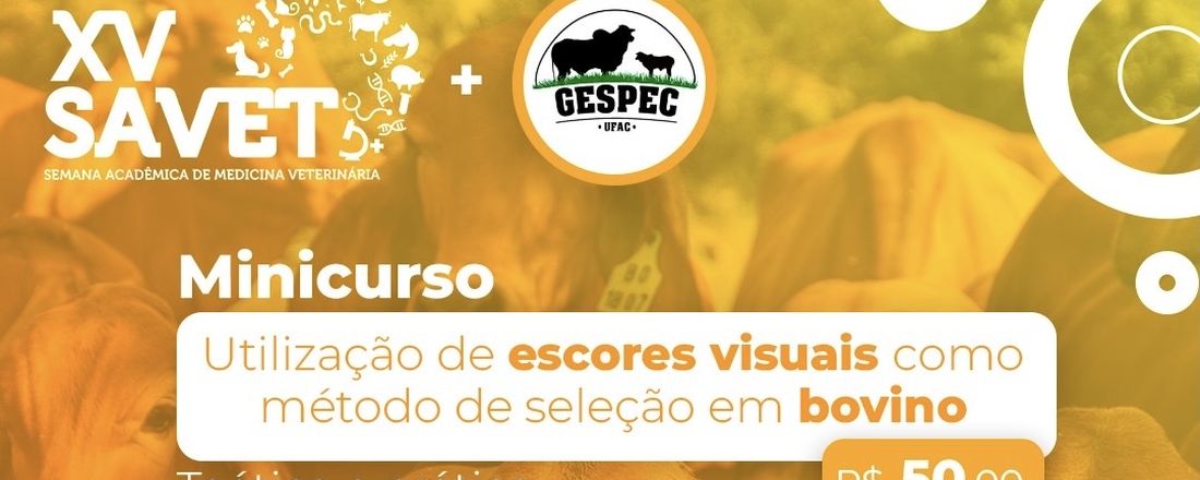 Utilização de escores visuais como método de seleção de bovinos - GESPEC